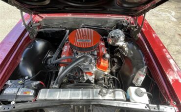 Chevrolet-Chevelle-malibu-1965-Deep-burgundy-Metallic-Dark-red-74