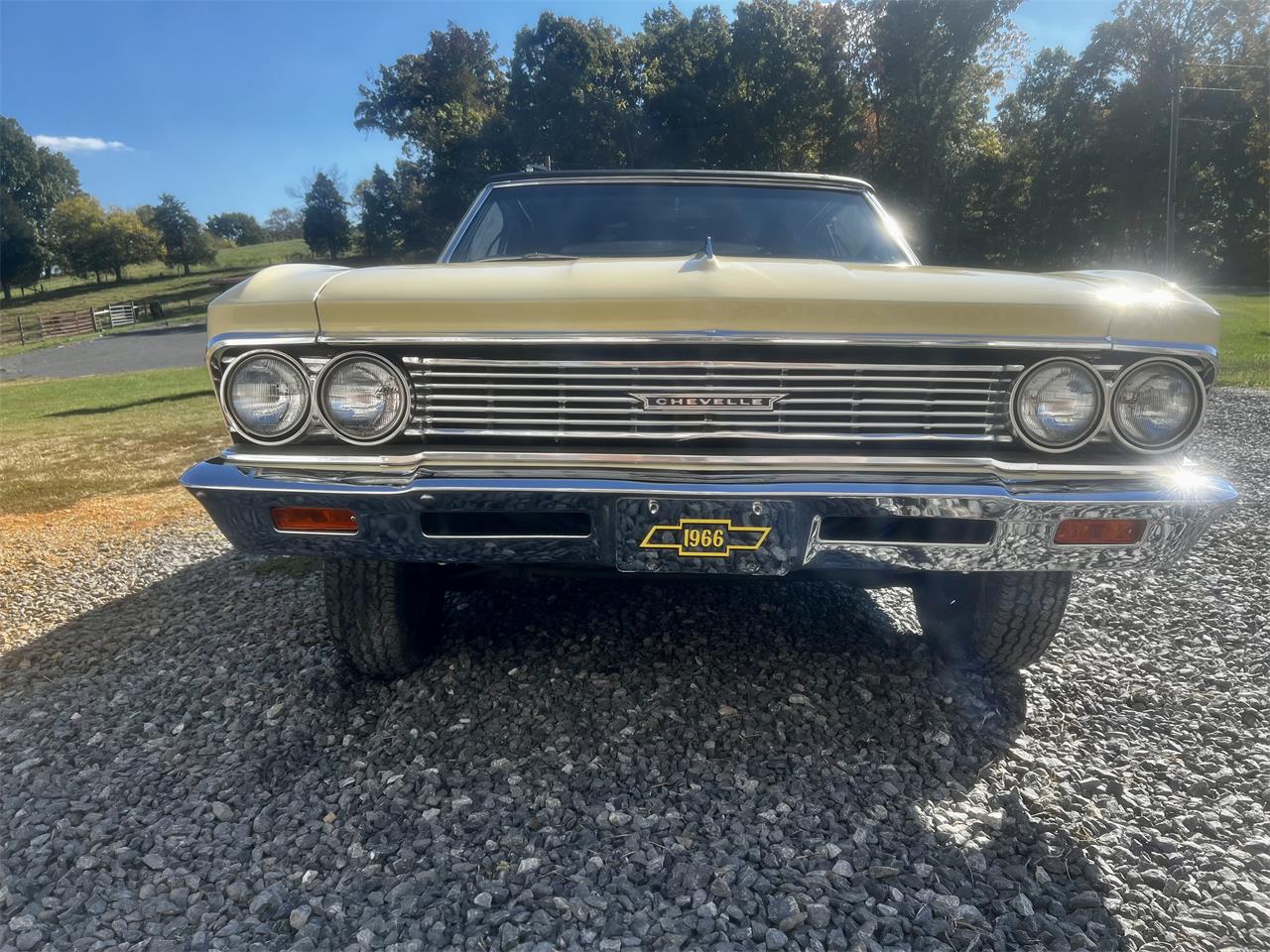 Chevrolet-Chevelle-malibu-1966-Butternut-Black-2