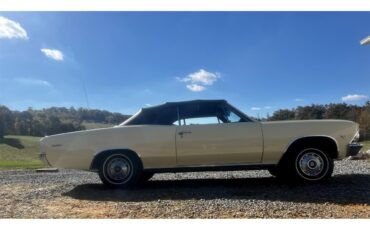 Chevrolet-Chevelle-malibu-1966-Butternut-Black-5