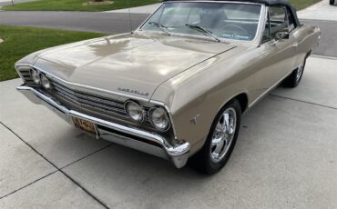 Chevrolet-Chevelle-malibu-1967-Gold-Gold-8