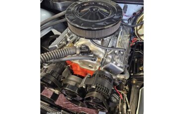 Chevrolet-Chevelle-malibu-ss-1965-Glacier-Grey-Black-11
