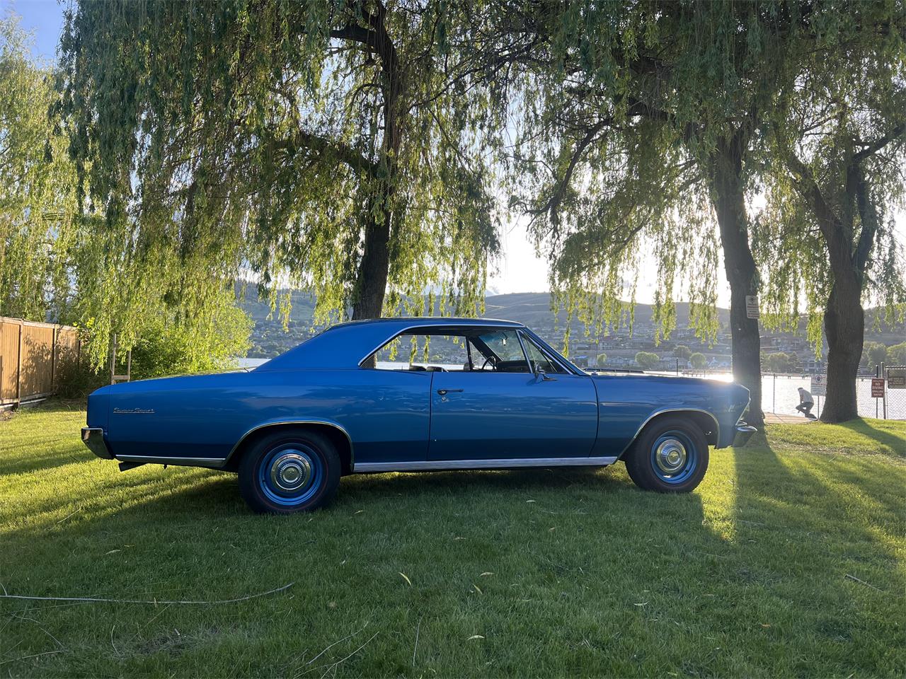 Chevrolet-Chevelle-ss-1966-Marina-blue-Black-3