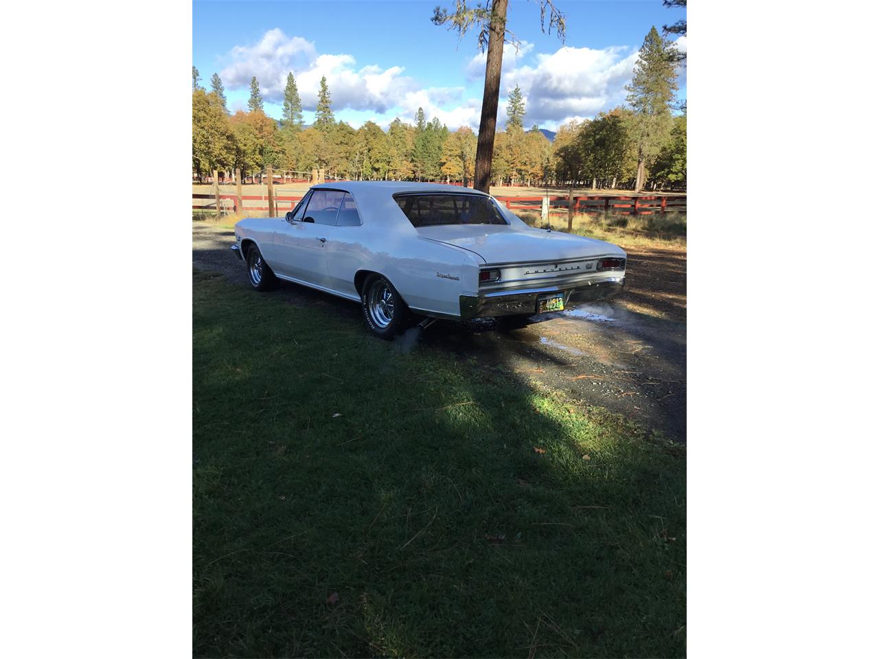 Chevrolet-Chevelle-ss-1966-White-Red-7