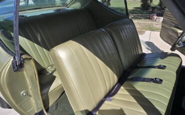 Chevrolet-Chevelle-ss-1968-Ash-Gold-Ash-Gold-10