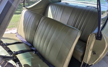 Chevrolet-Chevelle-ss-1968-Ash-Gold-Ash-Gold-11