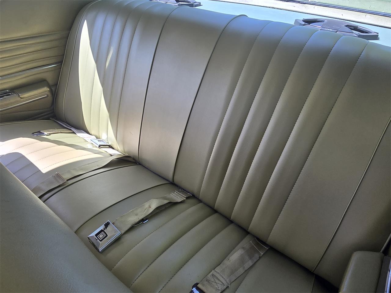 Chevrolet-Chevelle-ss-1968-Ash-Gold-Ash-Gold-12