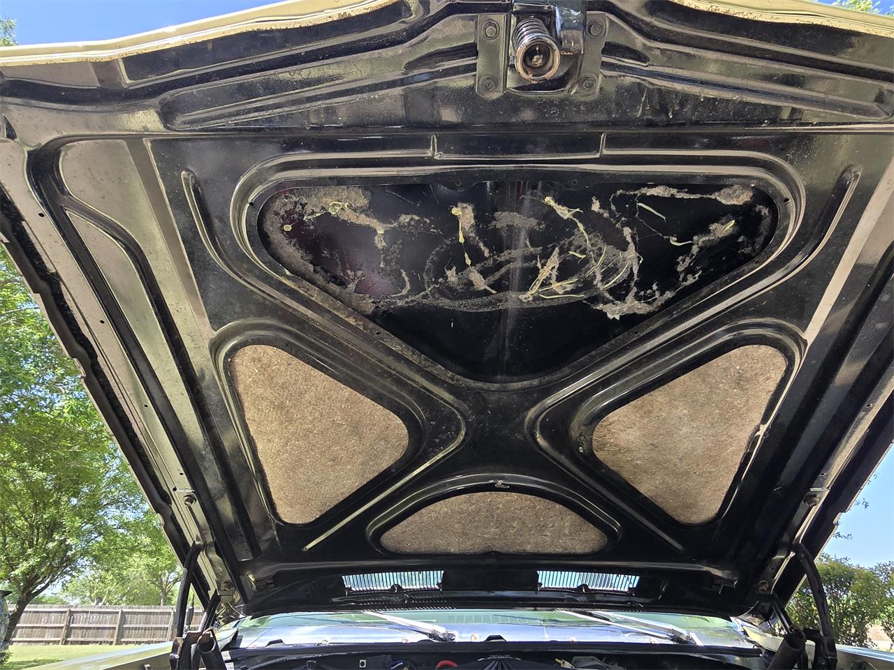 Chevrolet-Chevelle-ss-1968-Ash-Gold-Ash-Gold-18