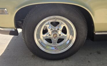 Chevrolet-Chevelle-ss-1968-Ash-Gold-Ash-Gold-32
