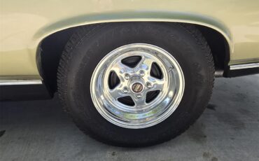Chevrolet-Chevelle-ss-1968-Ash-Gold-Ash-Gold-33