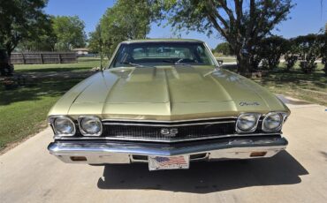Chevrolet-Chevelle-ss-1968-Ash-Gold-Ash-Gold-41