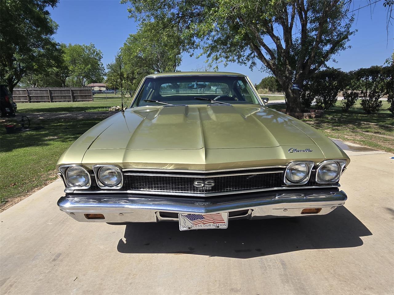 Chevrolet-Chevelle-ss-1968-Ash-Gold-Ash-Gold-41