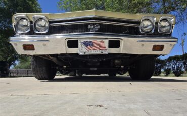 Chevrolet-Chevelle-ss-1968-Ash-Gold-Ash-Gold-42