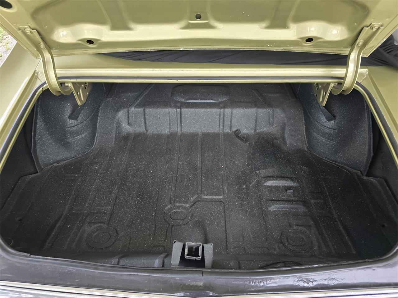 Chevrolet-Chevelle-ss-1968-Ash-Gold-Ash-Gold-47
