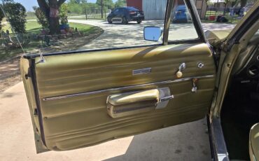 Chevrolet-Chevelle-ss-1968-Ash-Gold-Ash-Gold-5