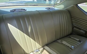 Chevrolet-Chevelle-ss-1968-Ash-Gold-Ash-Gold-51