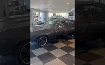 Chevrolet-Chevelle-ss-1969-Metallic-grey-Black-4