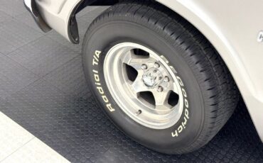 Chevrolet-Cheyenne-1969-Pickup-Truck-10