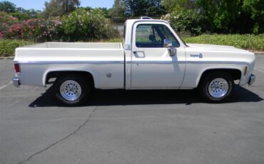 Chevrolet-Cheyenne-1975-1