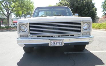 Chevrolet-Cheyenne-1975-5