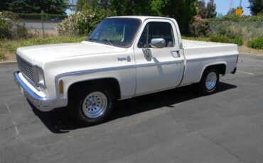Chevrolet-Cheyenne-1975-7