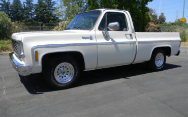Chevrolet-Cheyenne-1975-8