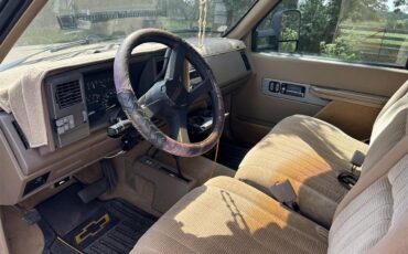 Chevrolet-Ck1500-1993-Champaign-Beige-6