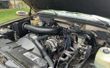 Chevrolet-Ck1500-1993-Champaign-Beige-8