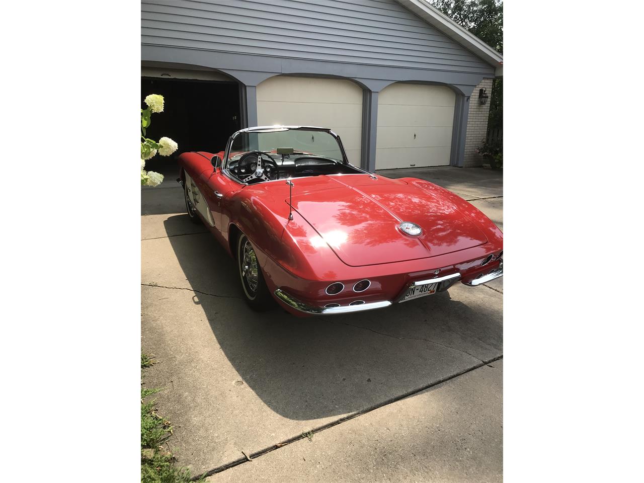 Chevrolet-Corvette-1961-Redwhite-Black-4