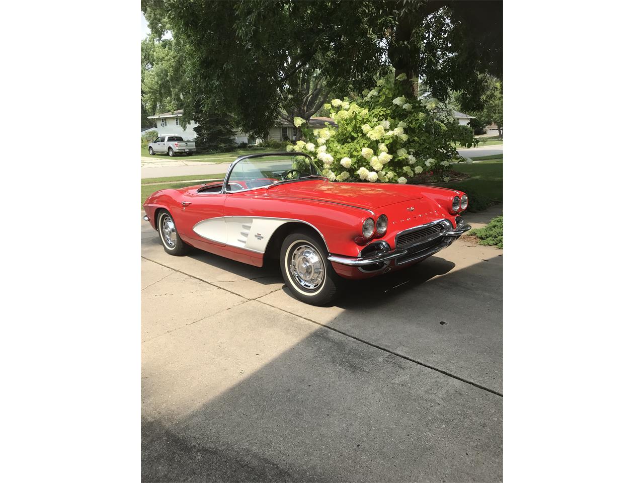 Chevrolet-Corvette-1961-Redwhite-Black-6