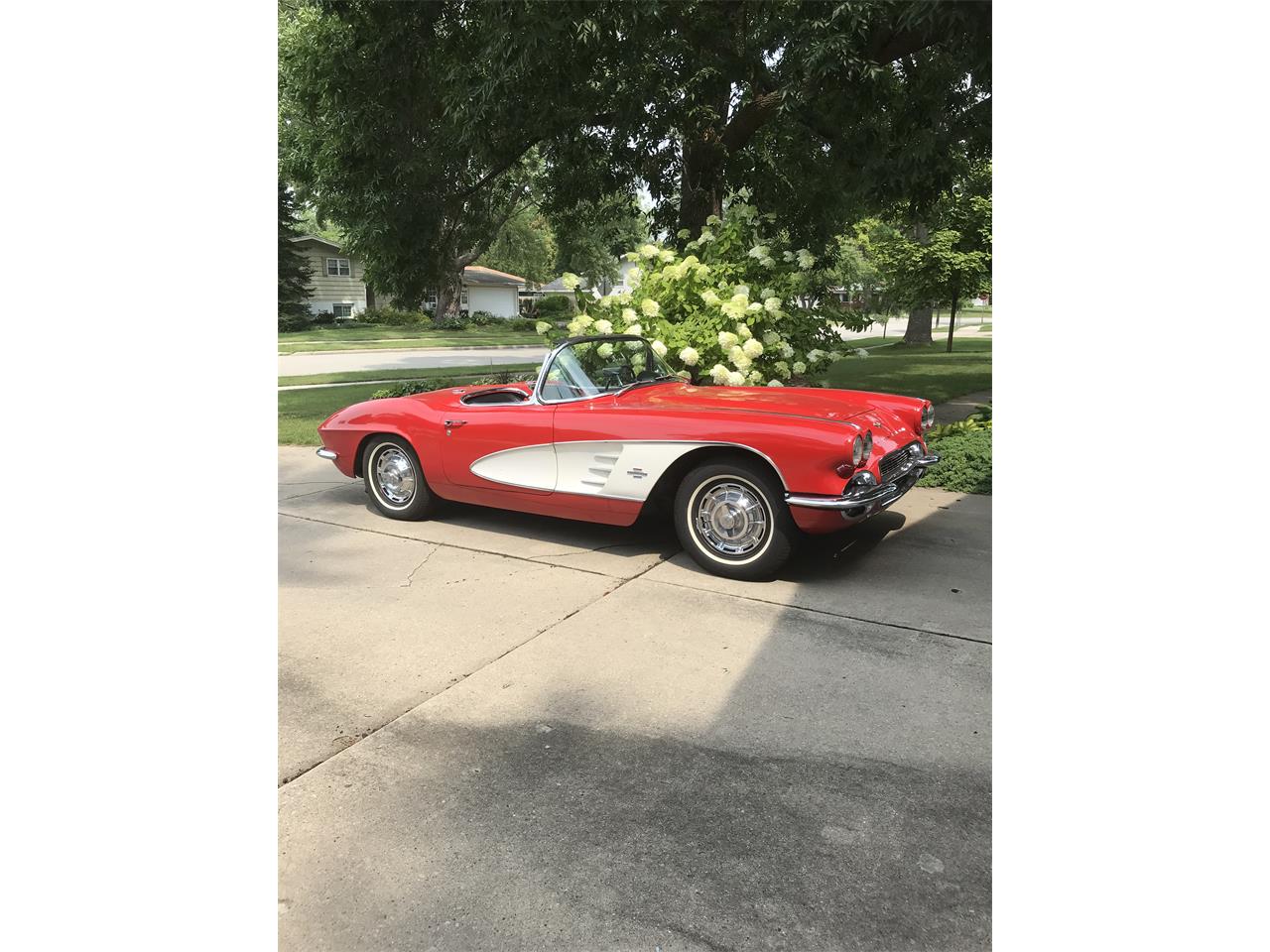 Chevrolet-Corvette-1961-Redwhite-Black-7