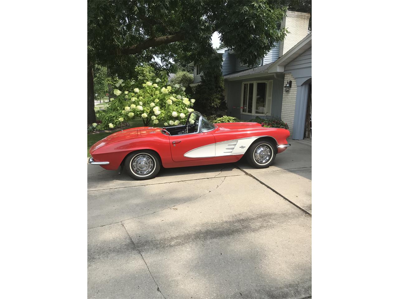 Chevrolet-Corvette-1961-Redwhite-Black-8
