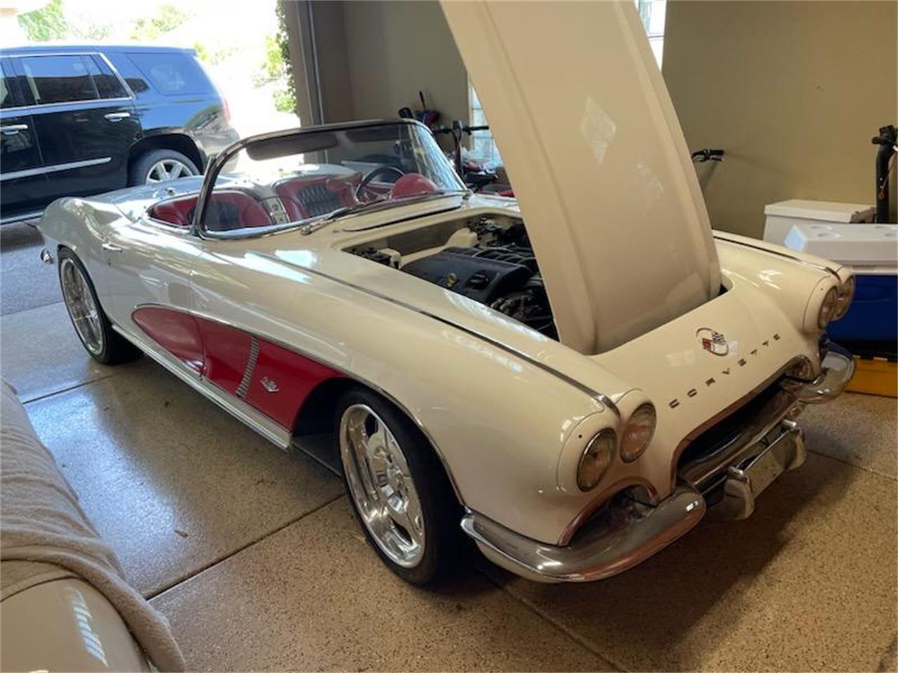 Chevrolet-Corvette-1962-Ermine-White-BLACK-RED-9