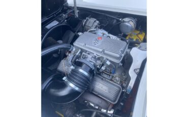 Chevrolet-Corvette-1963-White-Red-5