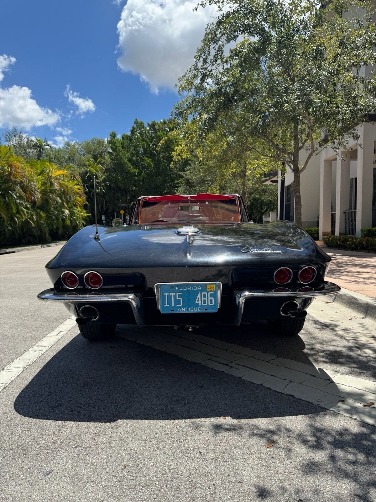 Chevrolet-Corvette-1964-Convertible-14