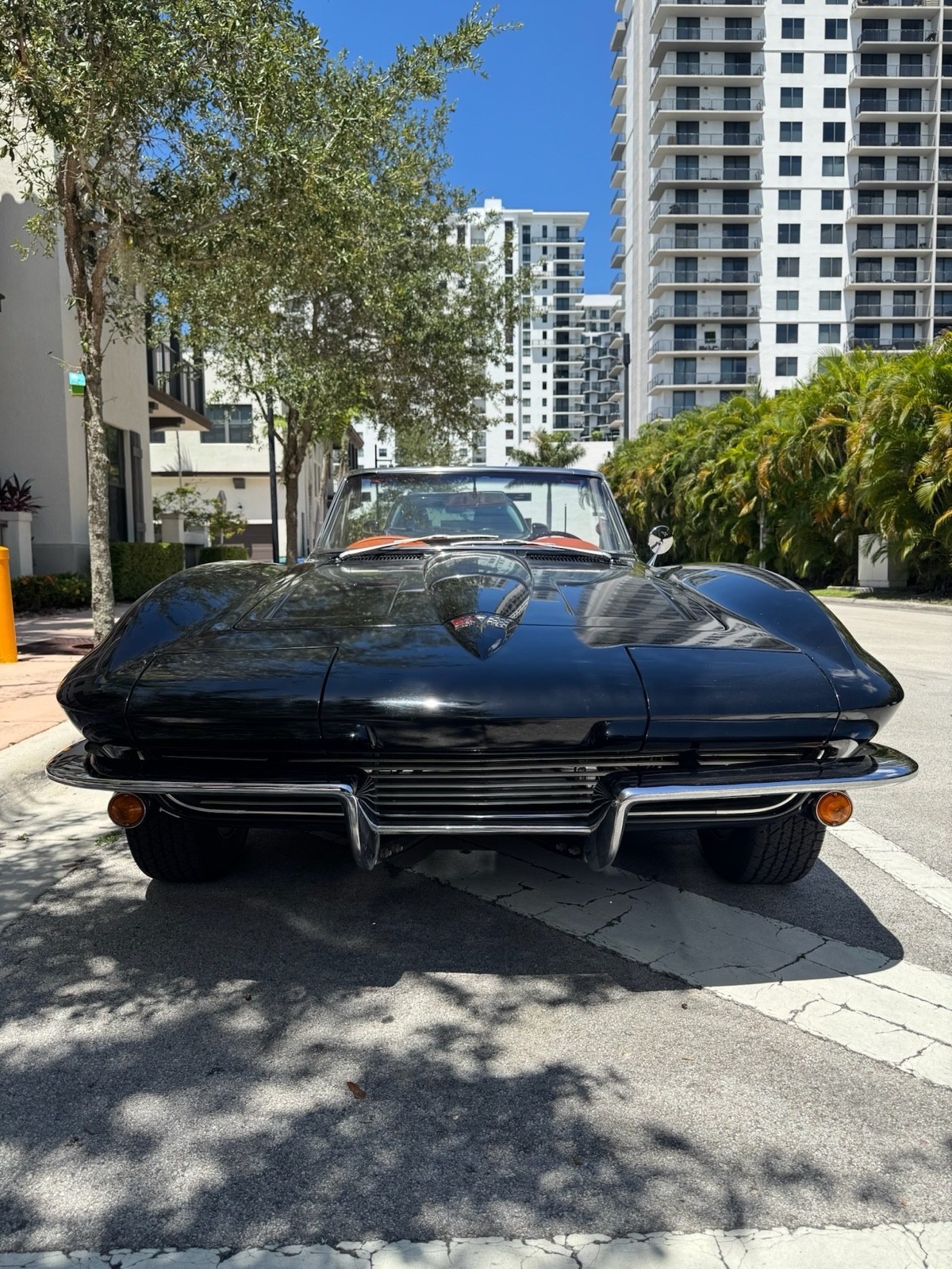 Chevrolet-Corvette-1964-Convertible-5