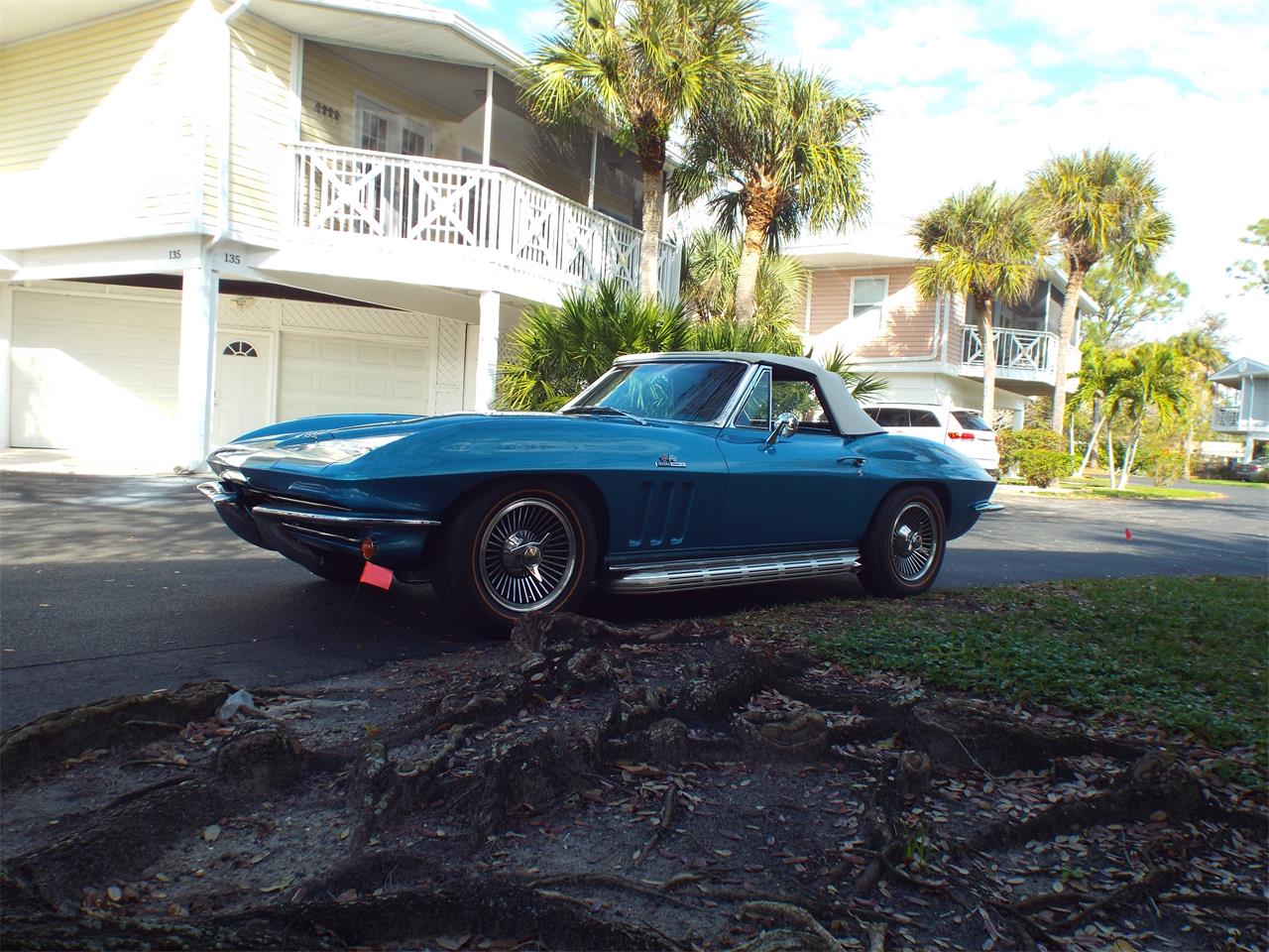 Chevrolet-Corvette-1965-Blue-Blue-14