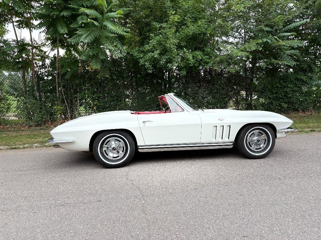 Chevrolet-Corvette-1965-Convertible-1