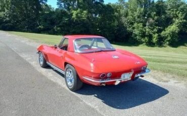 Chevrolet-Corvette-1965-Convertible-19
