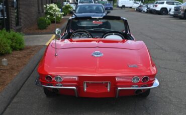 Chevrolet-Corvette-1966-Convertible-18
