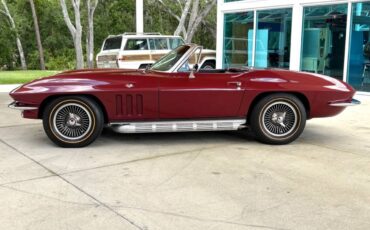 Chevrolet-Corvette-1966-Coupe-9