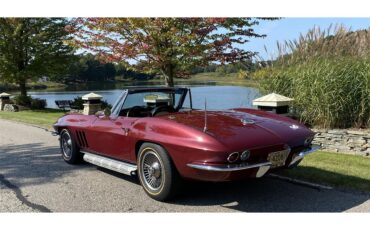 Chevrolet-Corvette-1966-Milano-Maroon-Black-5
