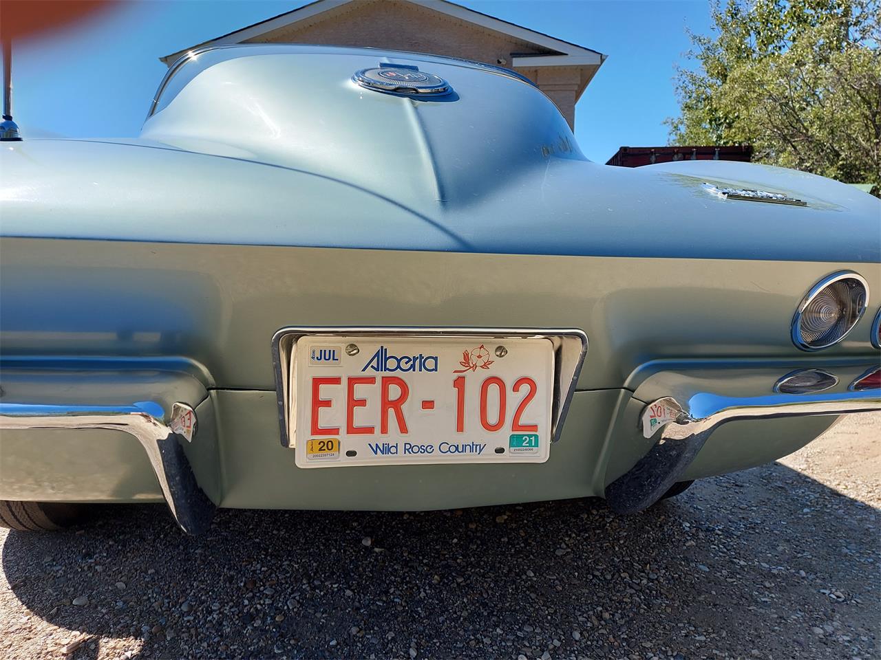 Chevrolet-Corvette-1966-Mosport-Green-Green-14