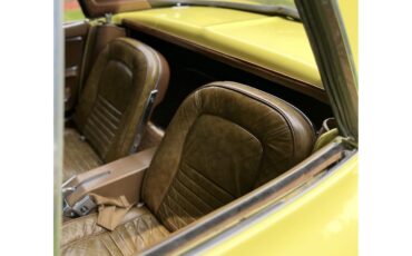 Chevrolet-Corvette-1967-Yellow-Brown-10