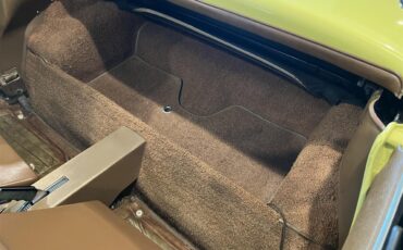 Chevrolet-Corvette-1967-Yellow-Brown-19