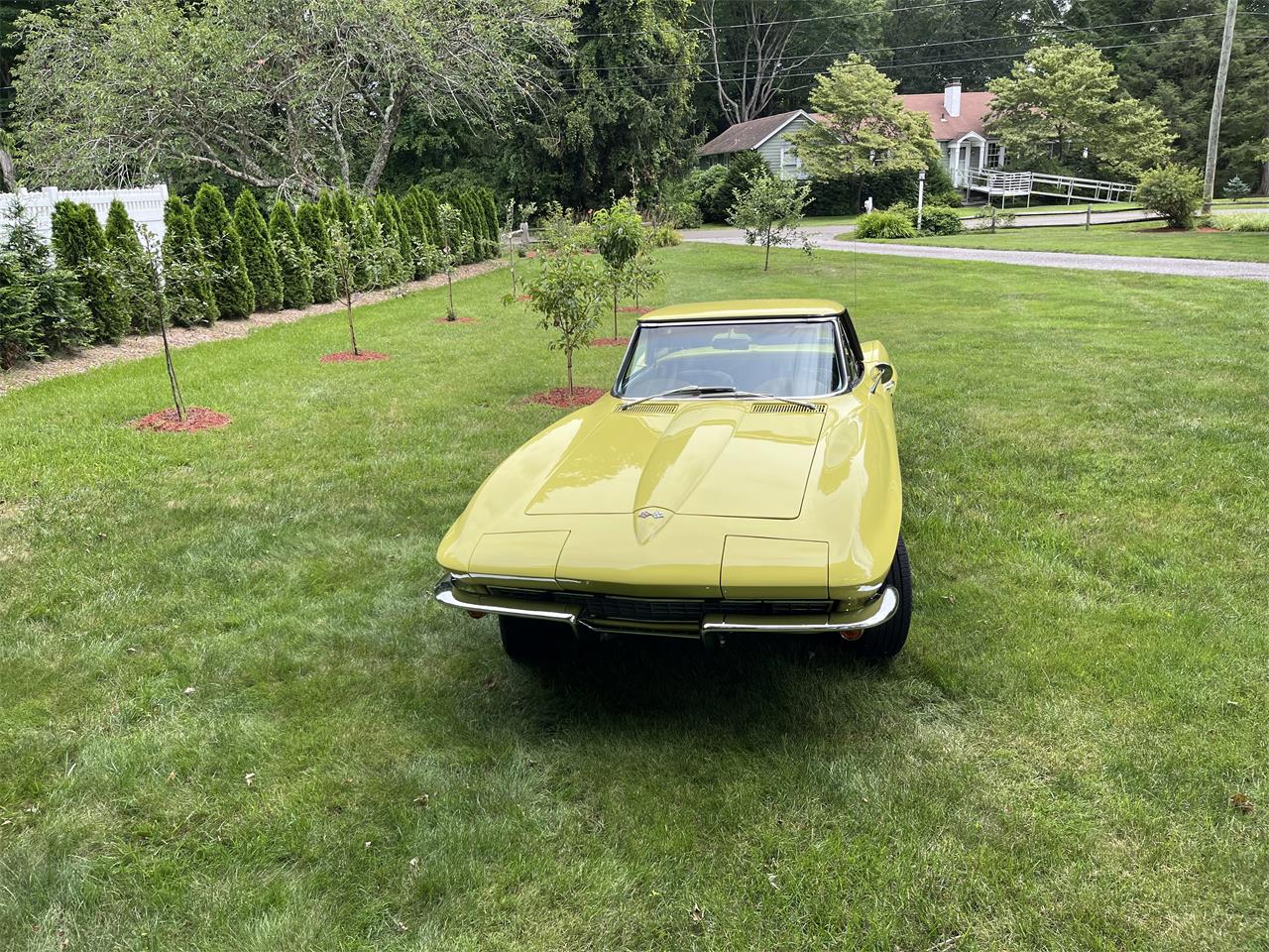 Chevrolet-Corvette-1967-Yellow-Brown-4