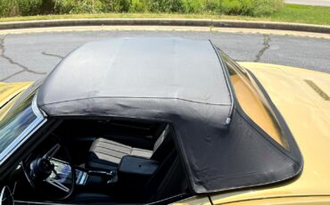 Chevrolet-Corvette-1969-Convertible-15