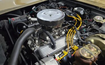 Chevrolet-Corvette-1969-Convertible-29
