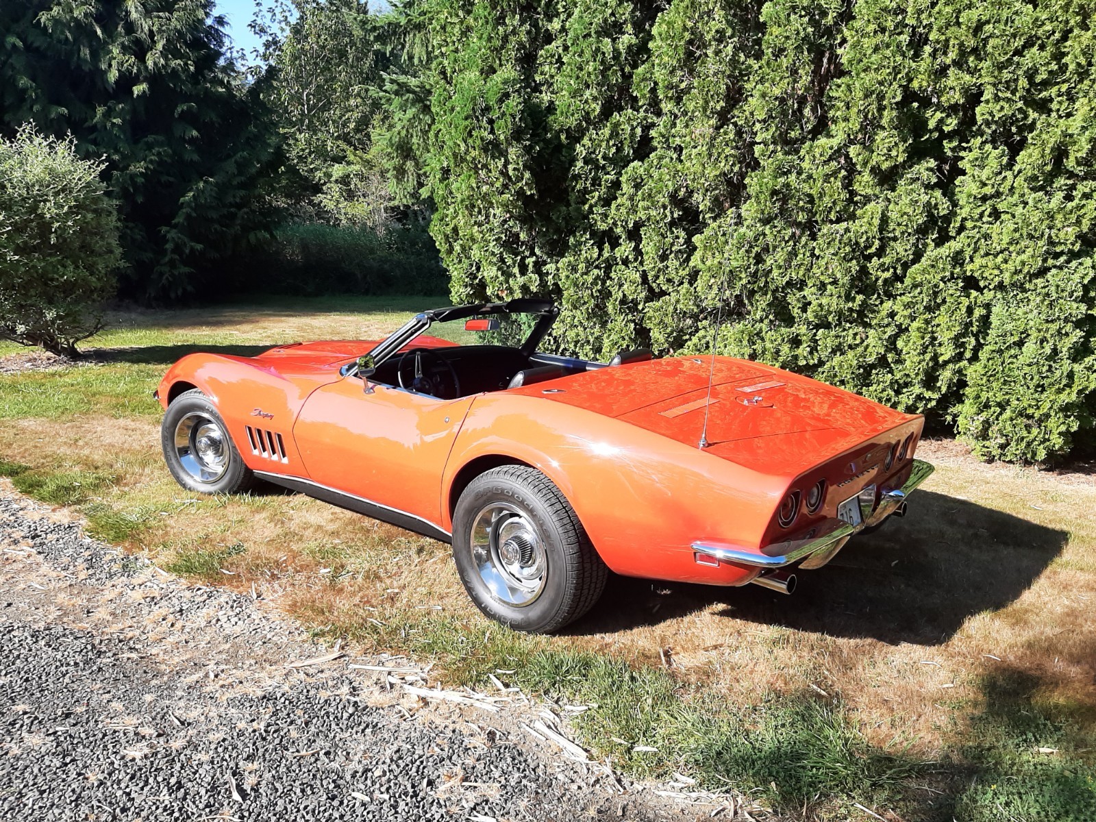 Chevrolet-Corvette-1969-Convertible-5
