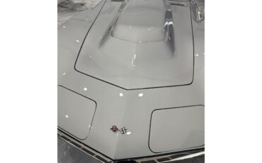 Chevrolet-Corvette-1969-Cortez-Silver-Red-Leather-2