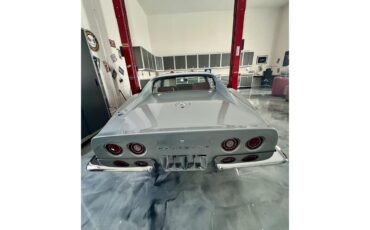 Chevrolet-Corvette-1969-Cortez-Silver-Red-Leather-22